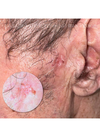 Изображение галлереи