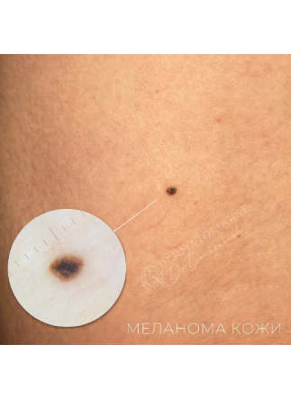 Изображение галлереи