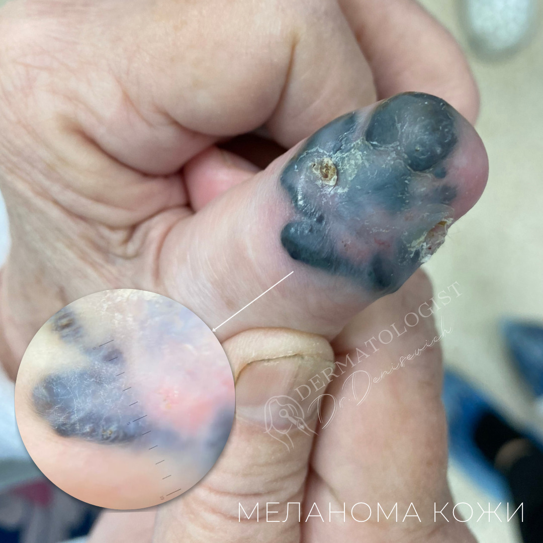 Изображение галлереи