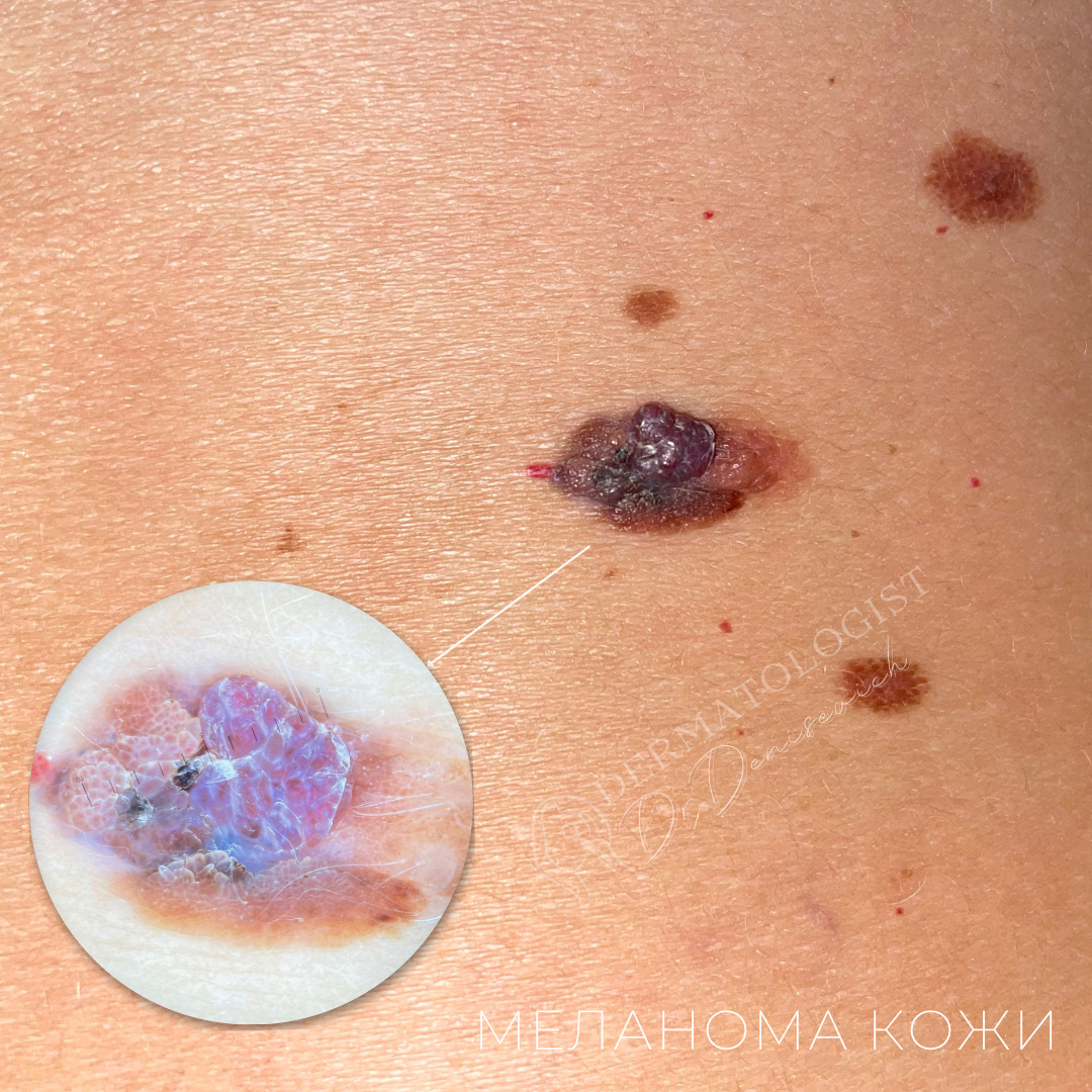 Изображение галлереи