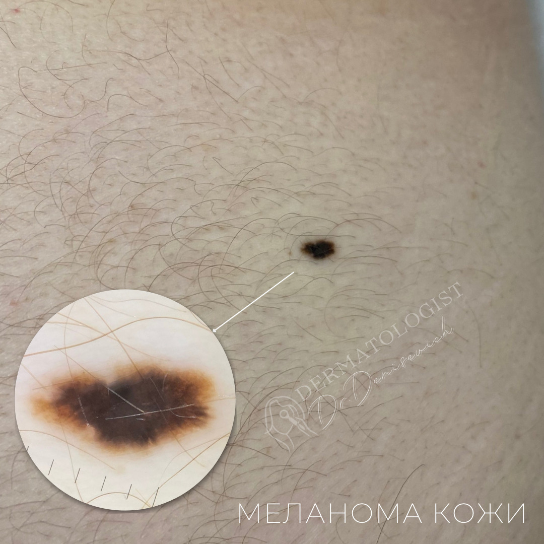 Изображение галлереи