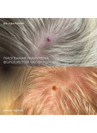 Изображение галлереи