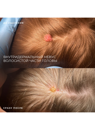 Изображение галлереи