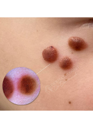 Изображение галлереи