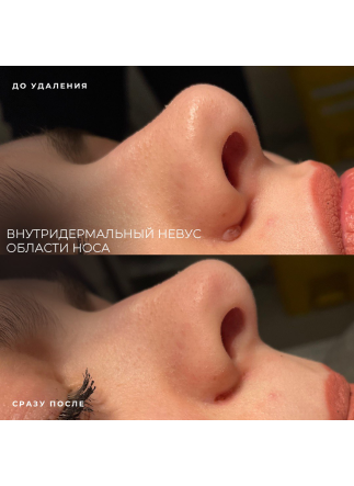 Изображение галлереи